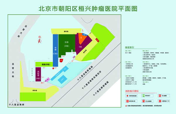 男生的鸡鸡插入女士的下面视频北京市朝阳区桓兴肿瘤医院平面图